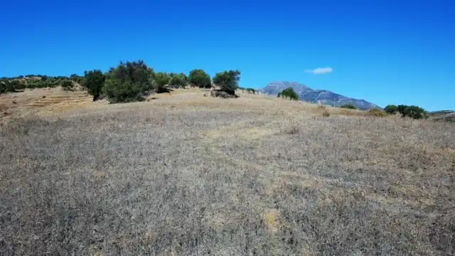 Terreni e lotti in vendita a Avenida de San Roque, imagen 25