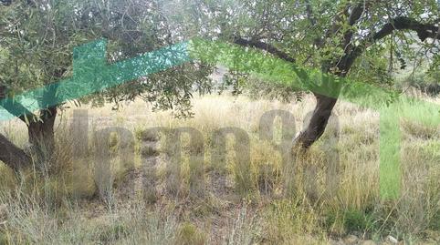 Foto 4 de Finca rústica en venta en Partida Bortolons, Relleu, Alicante