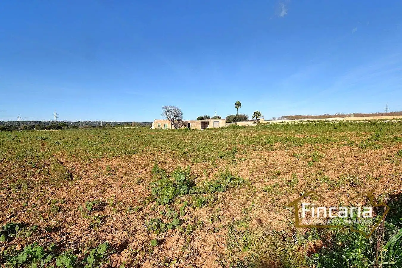 Country house zum Verkauf in Manacor