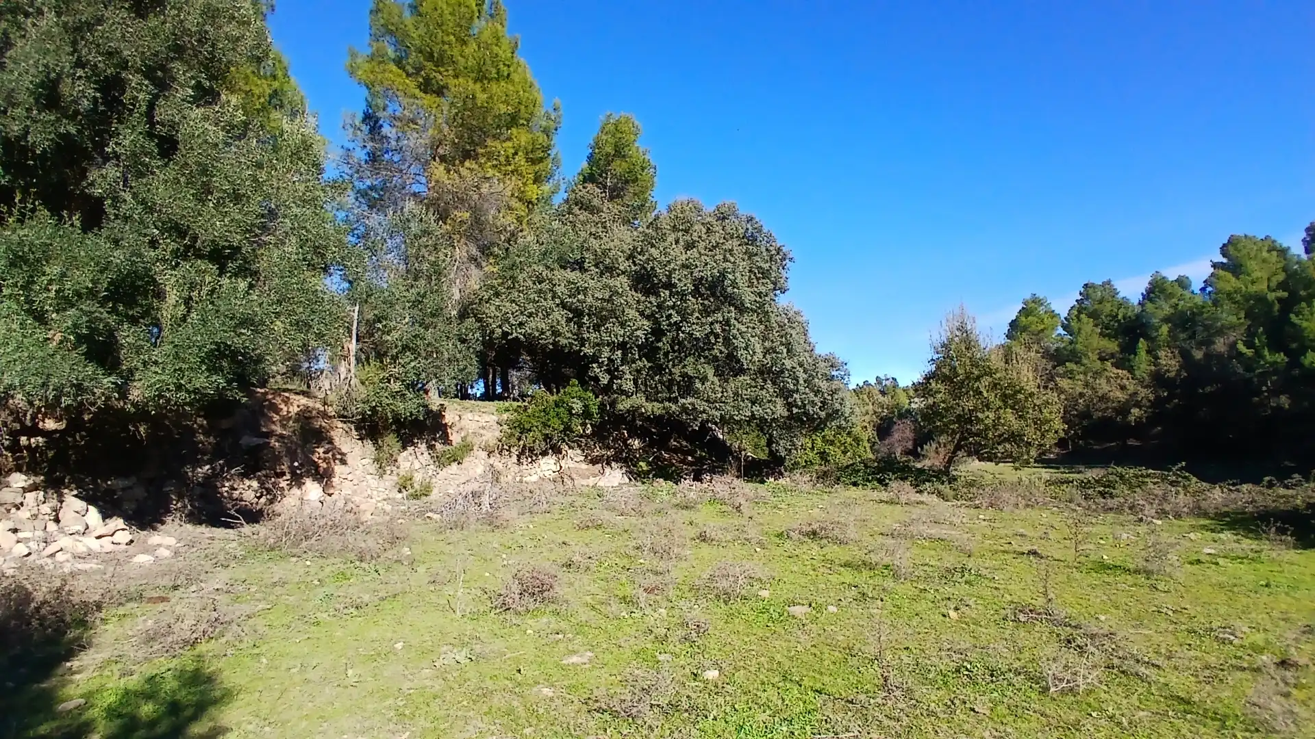 Terreno rustico in vendita a Calle Tremedal 13, imagen 11