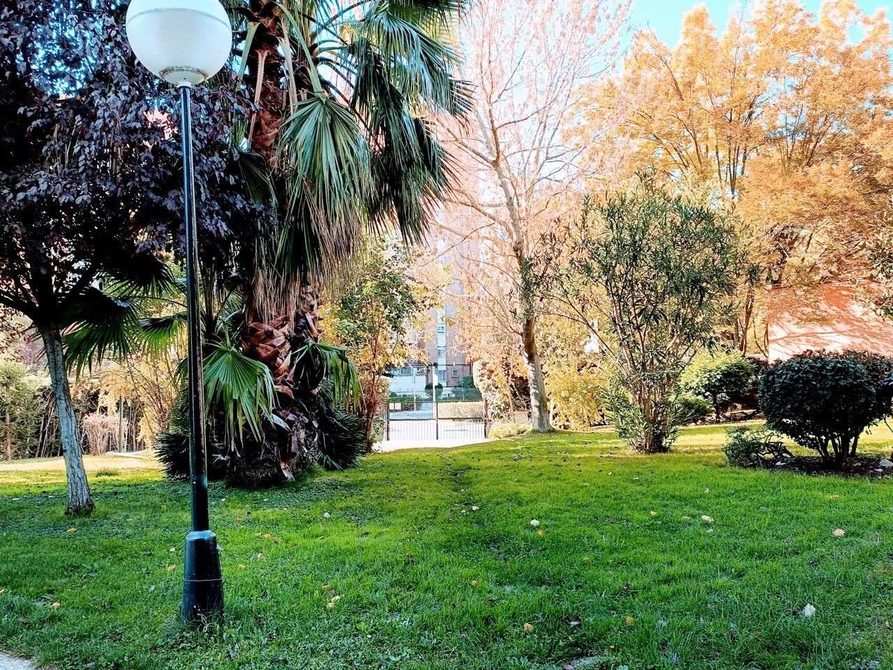 Garden of Flat to rent in  Madrid Capital  with Air Conditioner, Heating and Oven