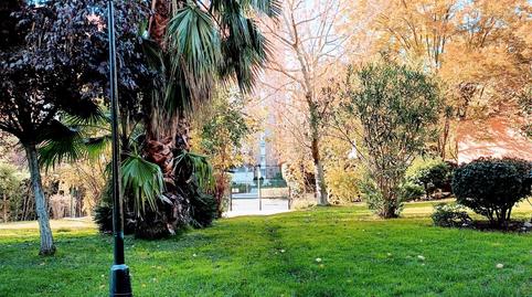 Photo 3 of Flat to rent in Valdetorres del Jarama, Pinar del Rey, Madrid