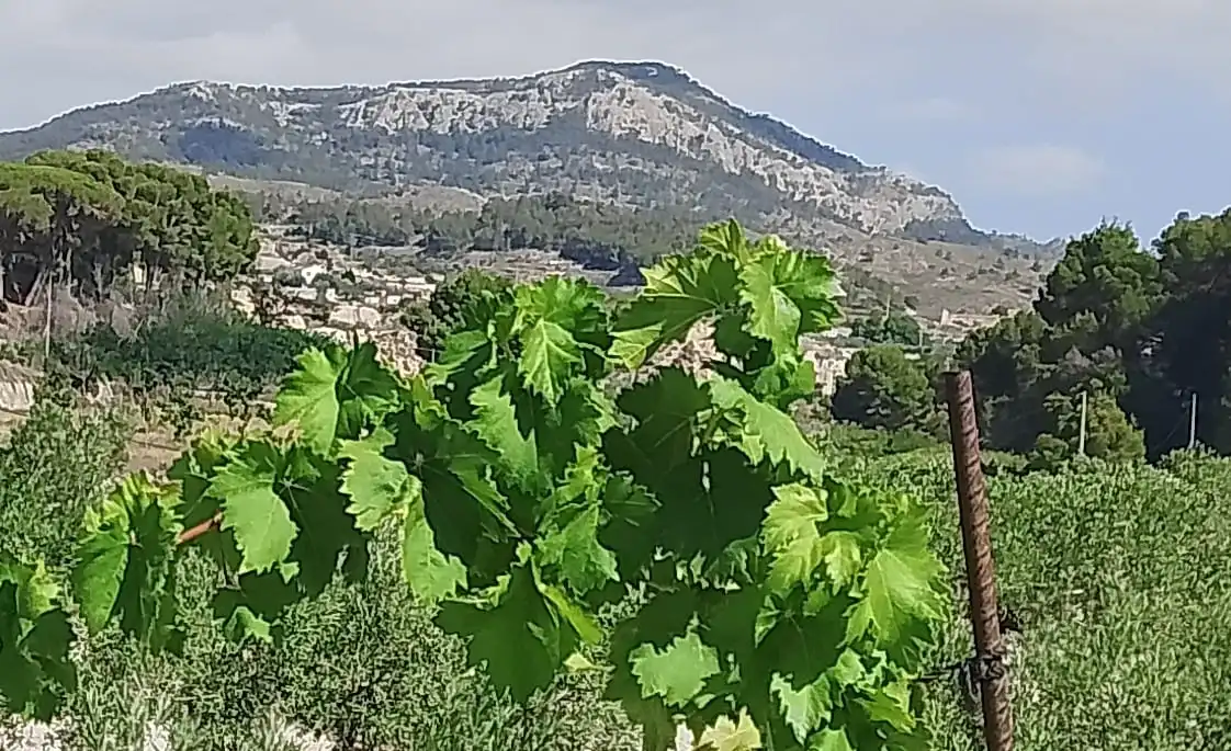 Terreno rustico in vendita a N/A, imagen 102