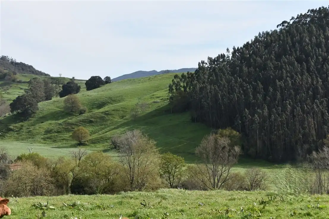 Vista exterior de Finca rústica de alquiler en Medio Cudeyo con Jardín privado y Amueblado
