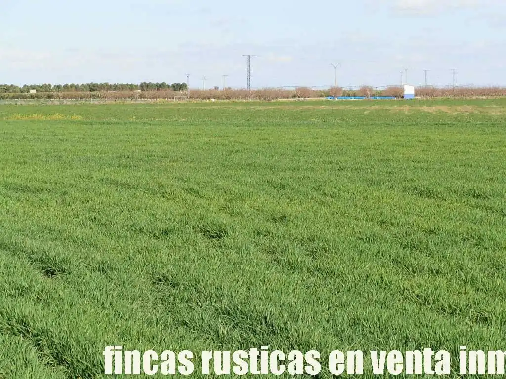 Terreny rústic en venda a Manzanares, imagen 4