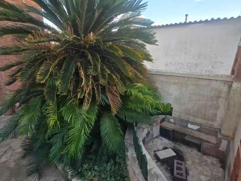 Terrasse von Haus oder Chalet zum Verkauf in Sant Jaume d'Enveja mit Klimaanlage, Terrasse und Balkon