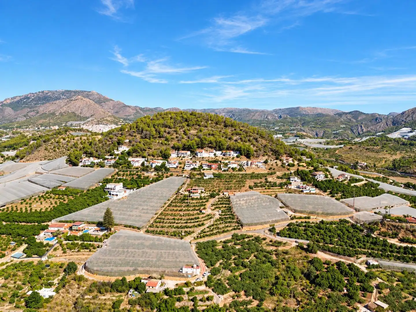 Villa con piscina in vendita a Callosa d'en Sarrià, imagen 34