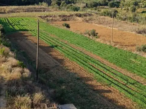 Terrain rustique à louer à Carrer Farigola 10
