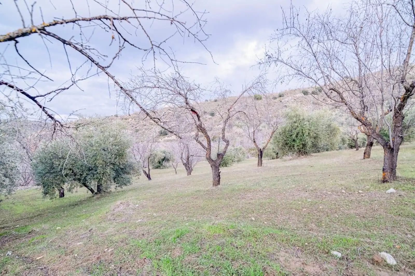 Mini appartamento in vendita a Pinos Genil, imagen 12