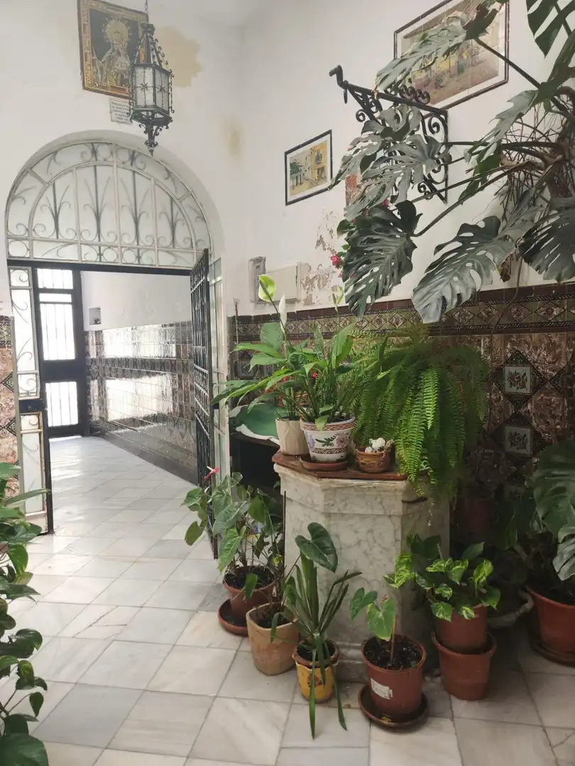 Houses for sale in San Fernando