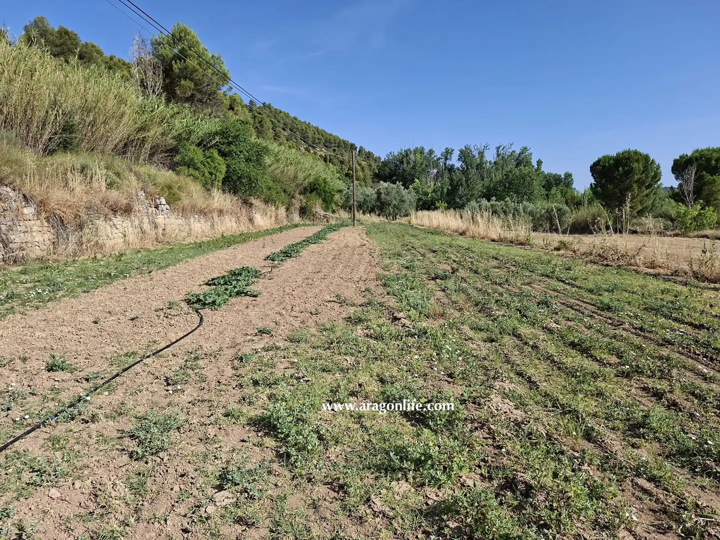 Finca rústica en venda en Mazaleón