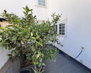 Jardí de Dúplex en venda en Puerto del Rosario amb Traster