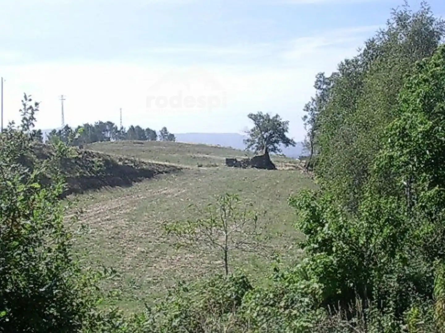 Casa in vendita a Covelo, imagen 4