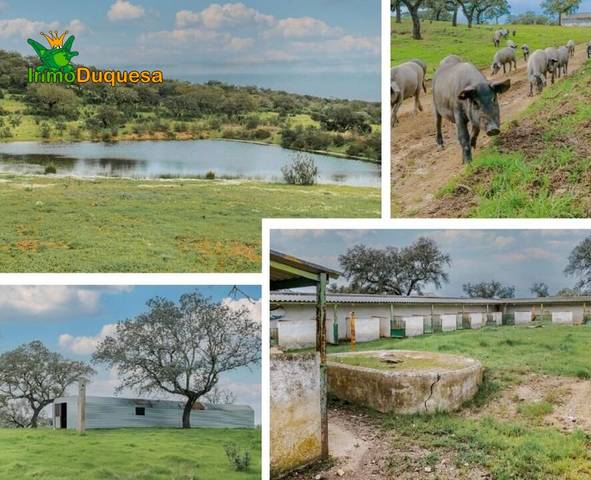 Finca rústica en Venta en Paymogo