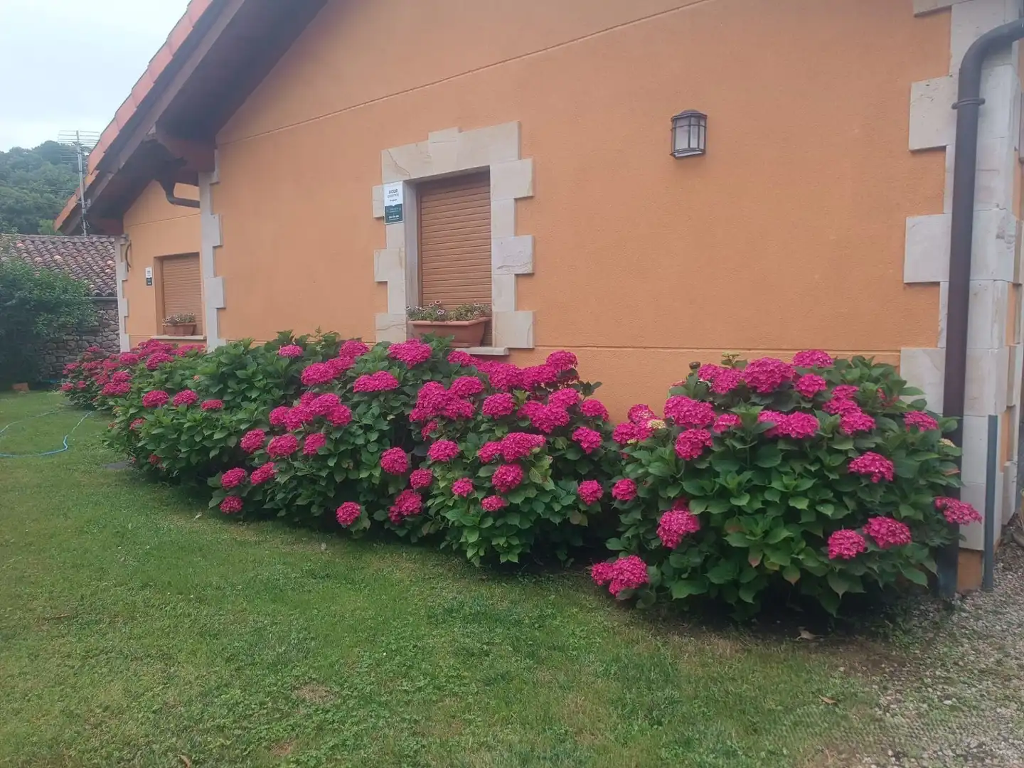 Jardí de Casa o xalet en venda en Molledo amb Calefacció, Jardí privat i Traster