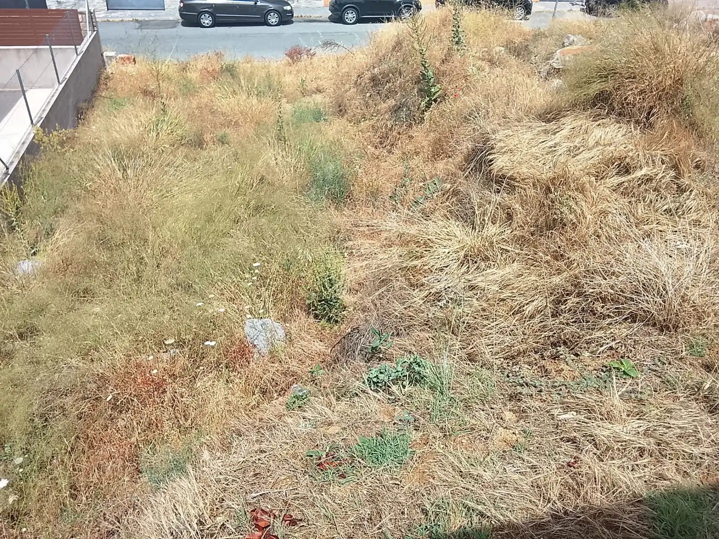 Terrenos y solares en venta en Robledo de Chavela, imagen 8