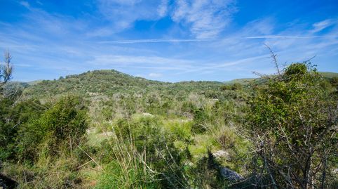 Finca para reformar con un terreno de 160.000 m2 en las afueras de Artà, imatge 4