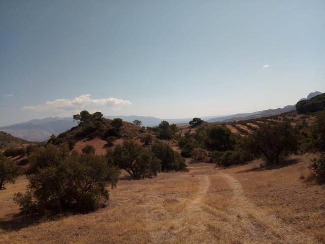 Terreno en Venta en Quesada