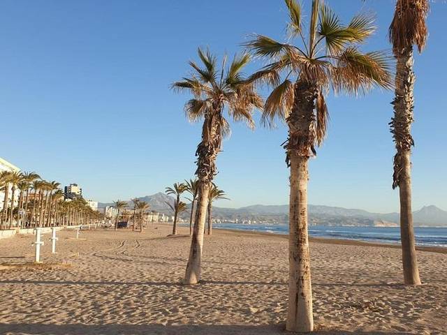 Apartamento en Venta en PAU 5