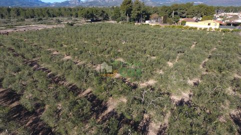 Foto 3 de Casa o chalet en venta en Poble, Mont-roig del Camp