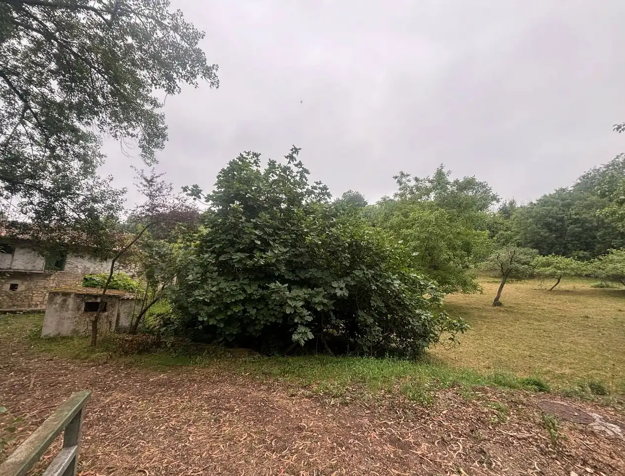 Finca rústica en venda en Gijón  amb Jardí privat