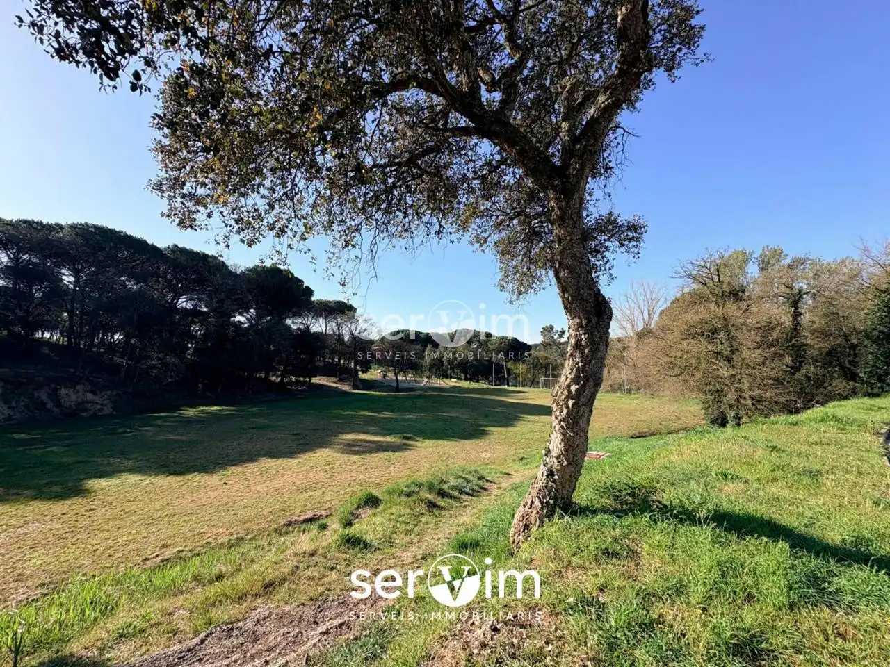 Terrain rustique à vendre à Calle Enric Morera 32, imagen 2