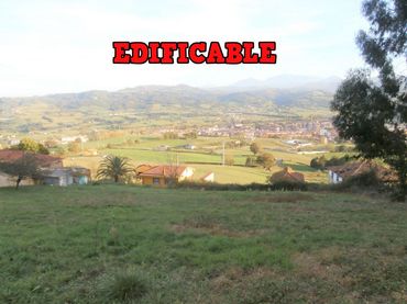 Terrain résidentiel à vendre à Grado