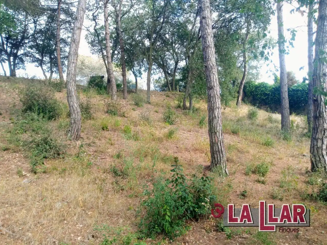 Terreny residencial en venda a Vallromanes, imagen 2