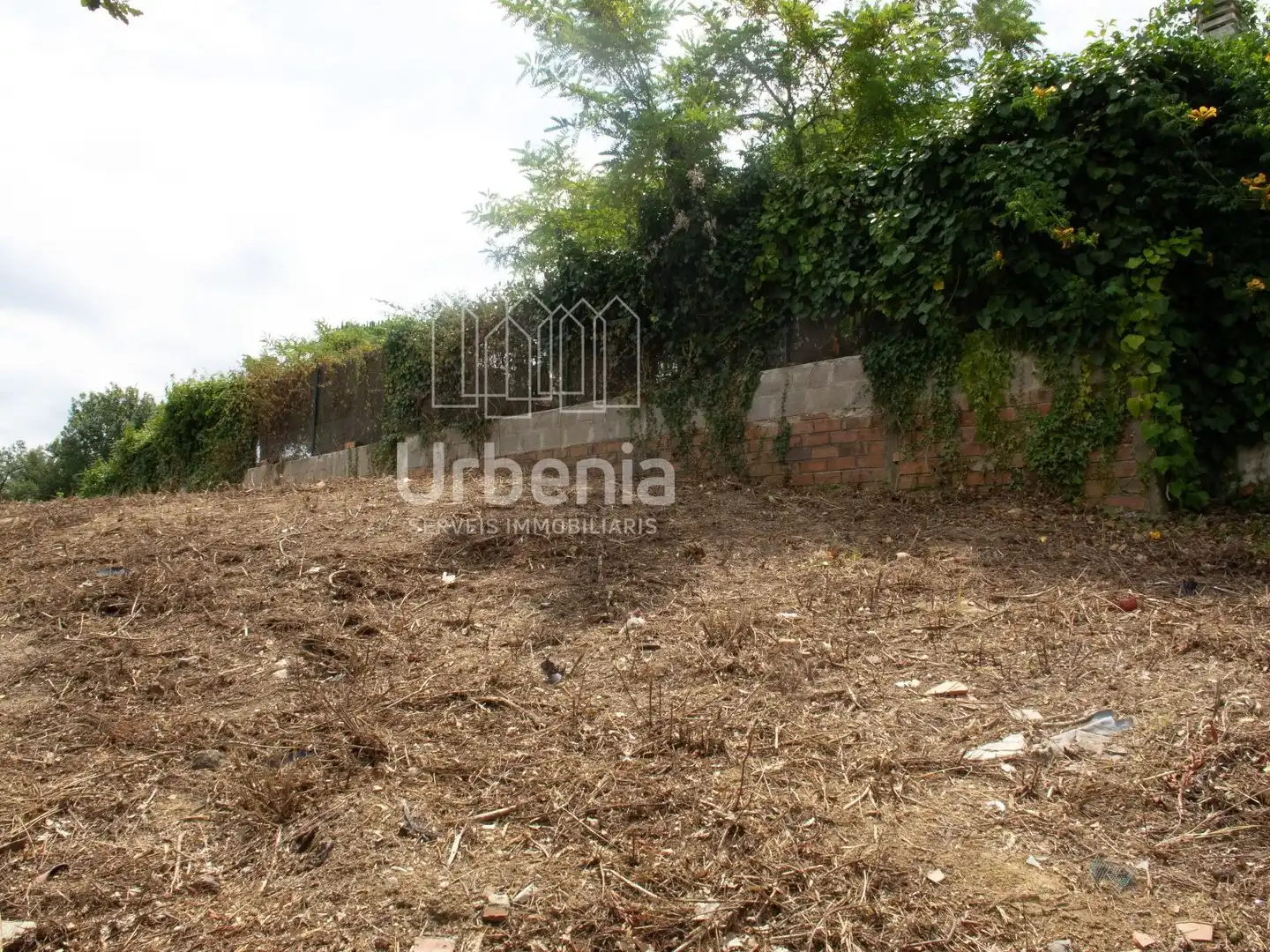 Rural land for sale in Maçanet de la Selva pueblo, imagen 8
