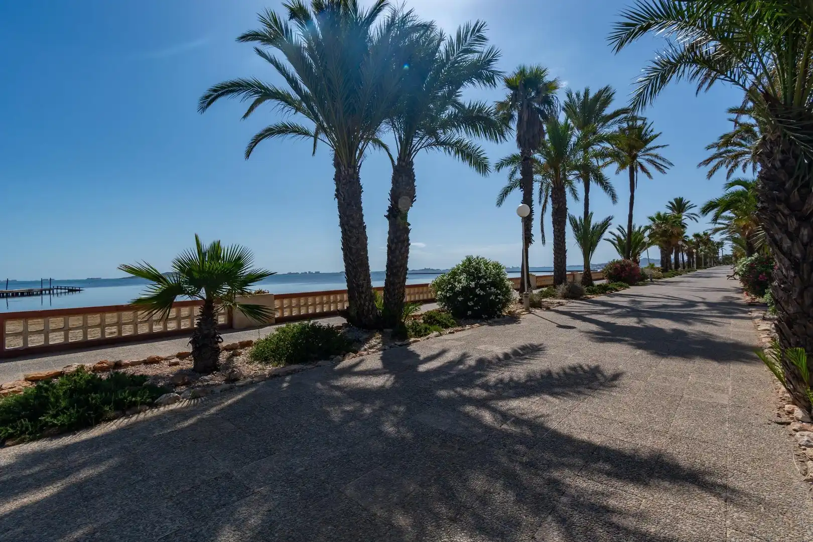 Vista exterior de Casa o chalet en venta en Cartagena con Terraza, Amueblado y Piscina comunitaria