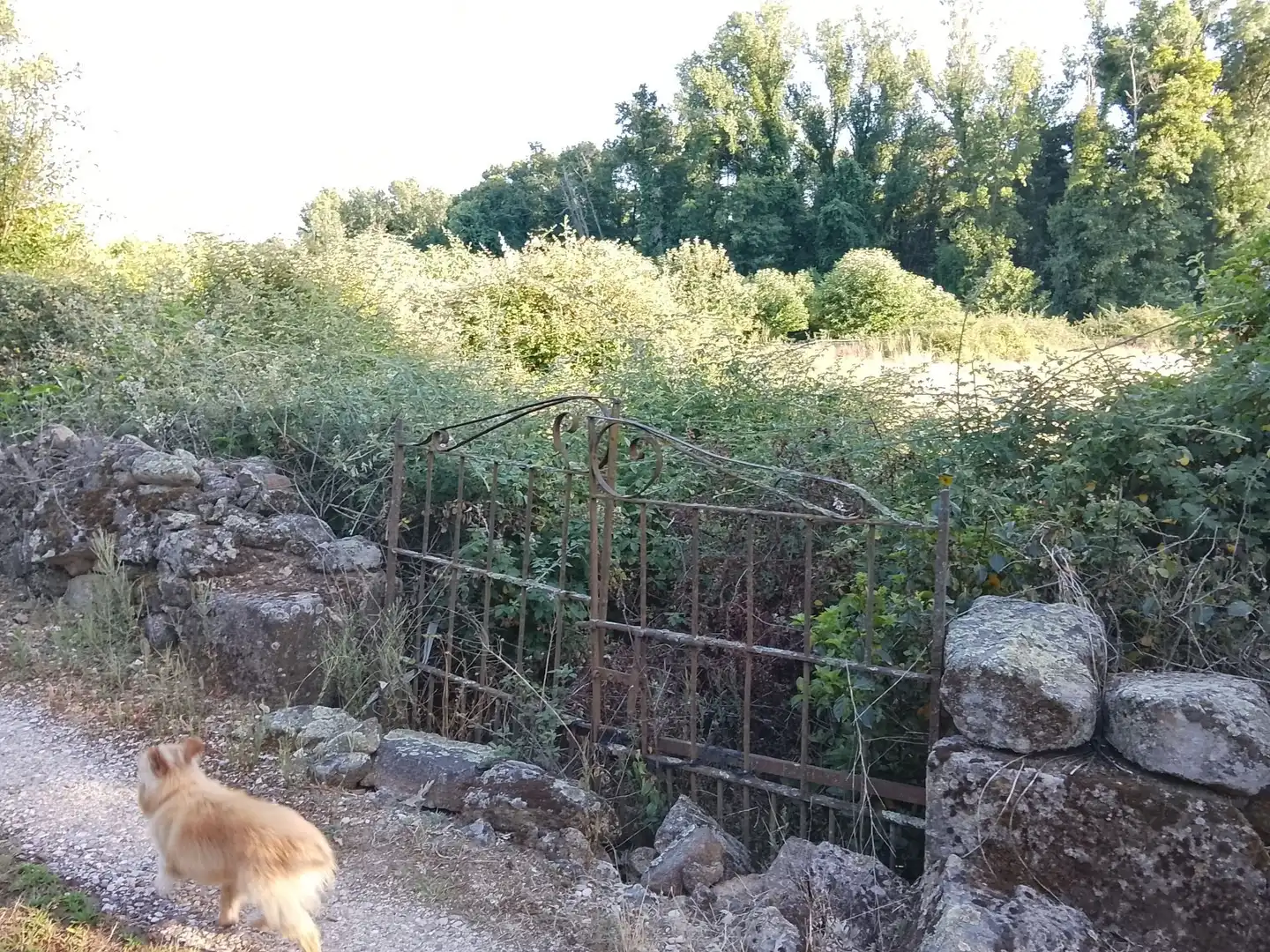 Terreni e lotti in vendita a Villanueva de la Vera, imagen 16