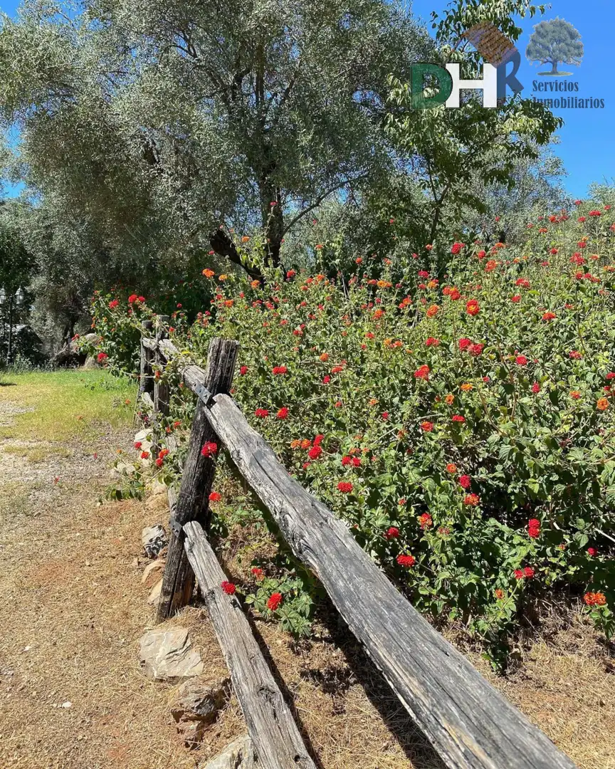 Xalet amb piscina en venda a Rinconada, imagen 26