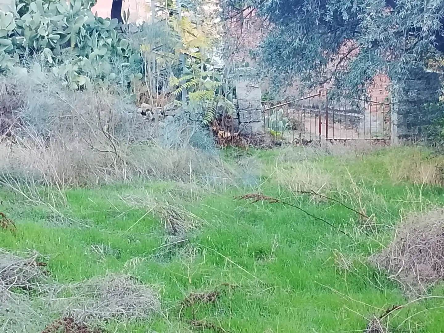 Terreni e lotti in vendita a El Hoyo de Pinares, imagen 13