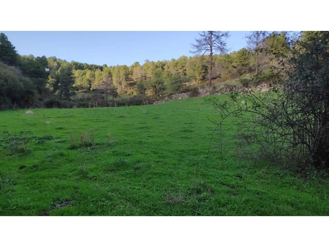 Residencial en venta en Las Navas del Marqués 