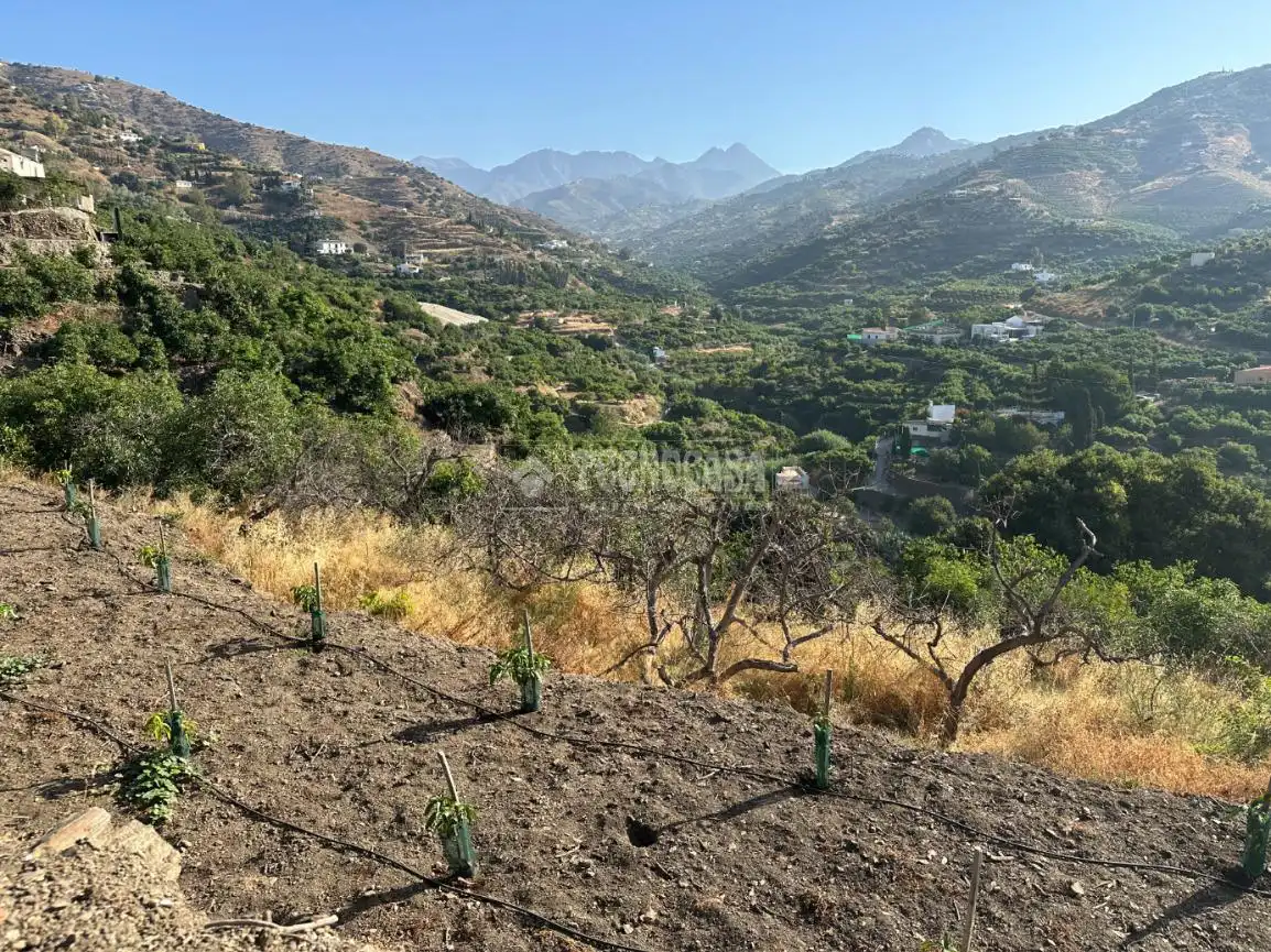 Terreni e lotti in vendita a Torrox Pueblo, imagen 3