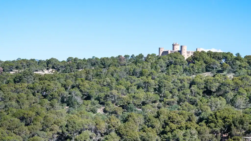 Vista exterior de Ático en venta en  Palma de Mallorca con Aire acondicionado, Calefacción y Terraza