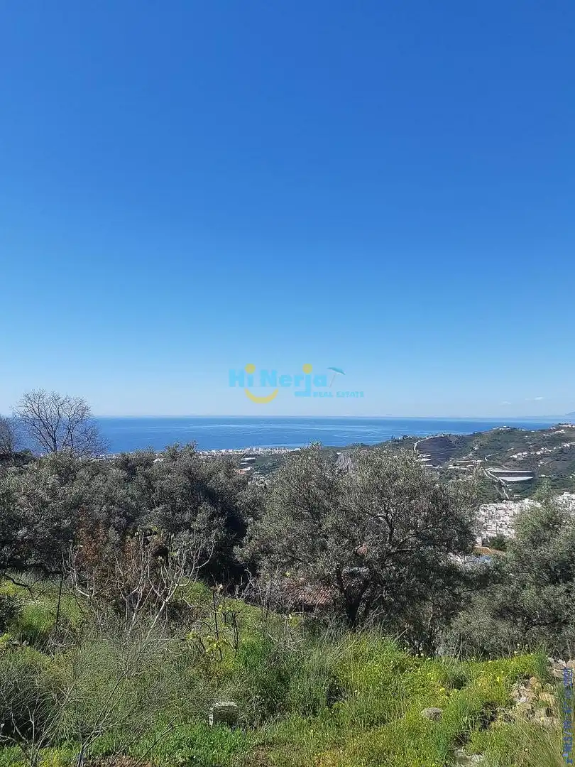 Terreni e lotti in vendita a Torrox Pueblo, imagen 2
