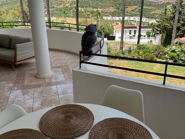 Pis amb piscina en venda a Playa Bahía Dorada