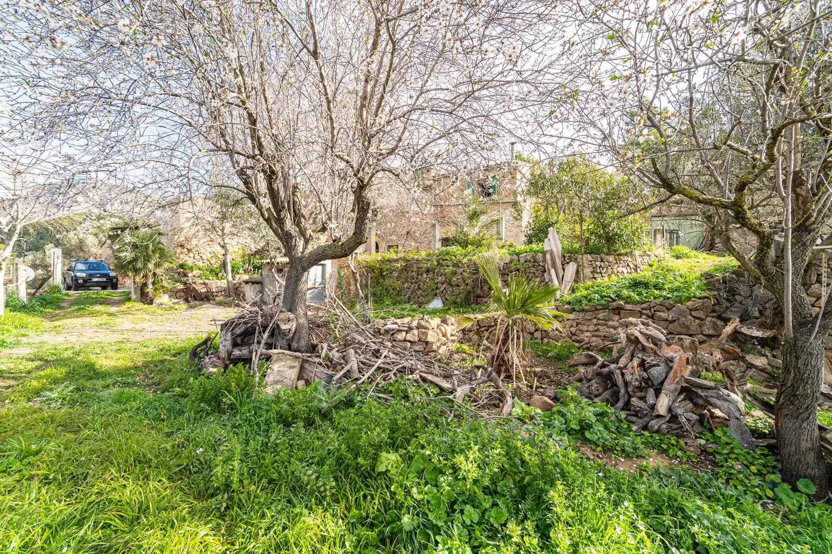 Casa con jardín en venta en Andratx pueblo, imagen 16