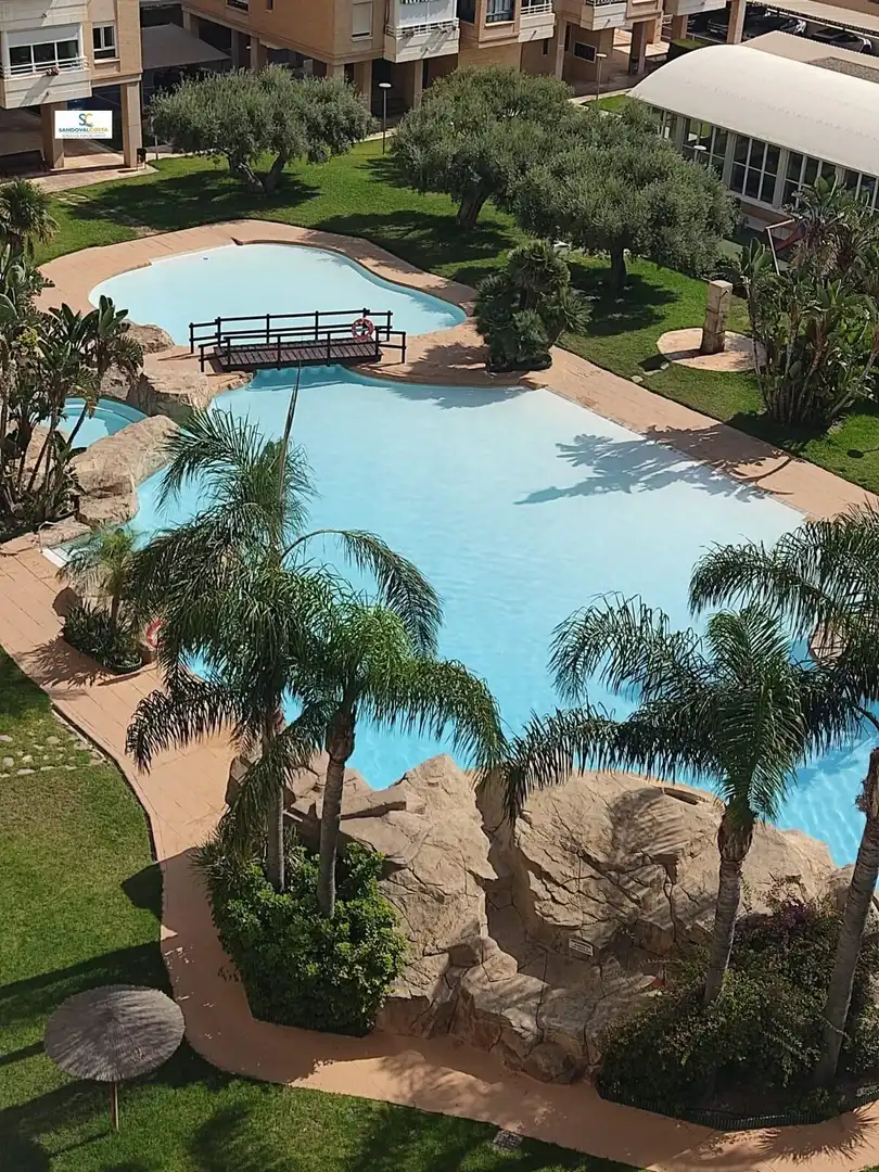 Piscina de Piso de alquiler en Alicante / Alacant con Parquet y Piscina comunitaria