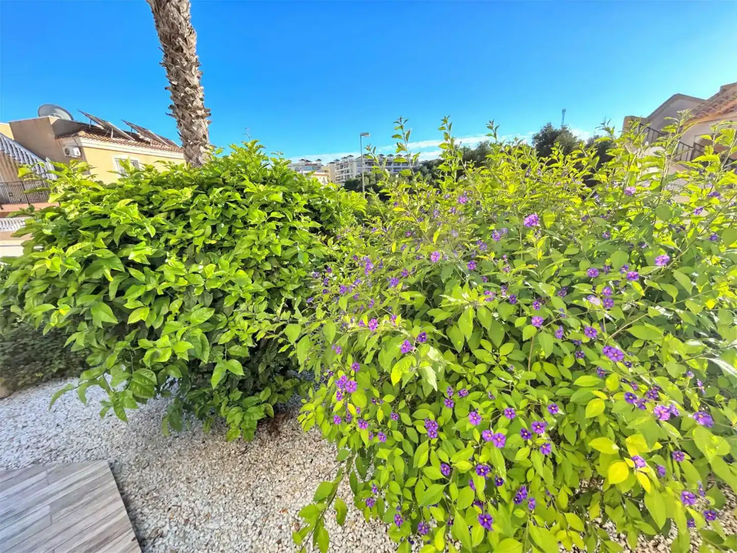 Casa adosada en venda en Orihuela amb Aire condicionat, Jardí privat i Piscina