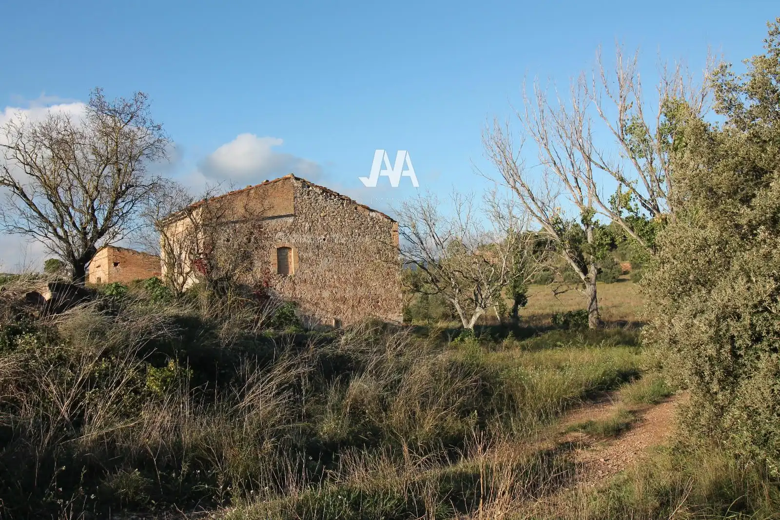 Terreny rústic en venda a Jorba, imagen 7