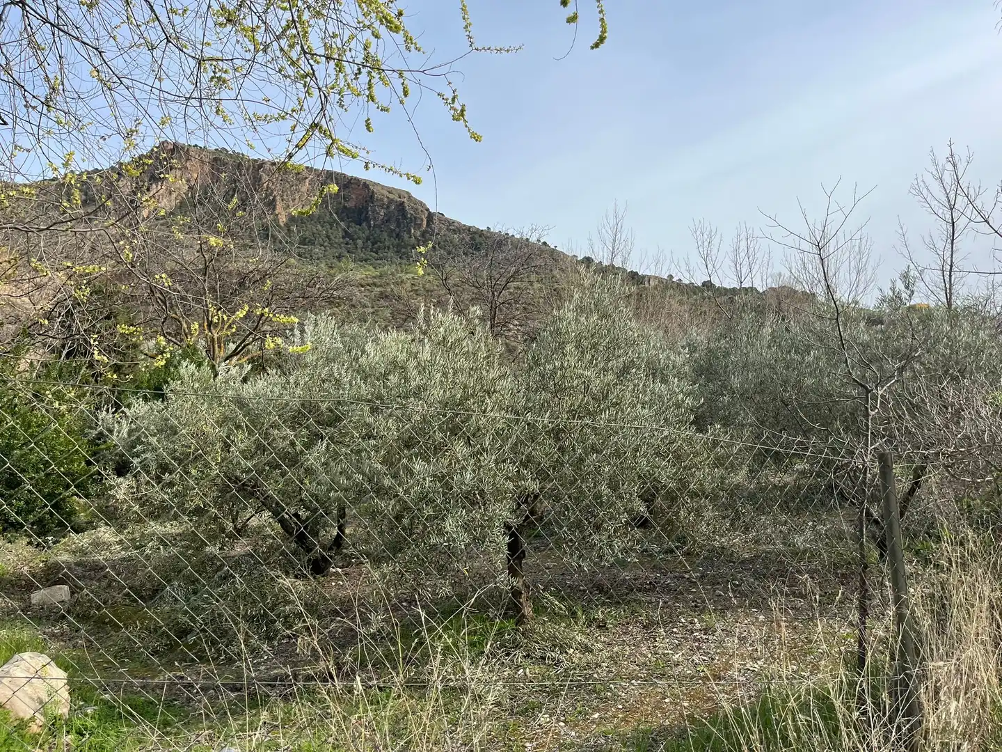 Terreny en venda en Lecrín