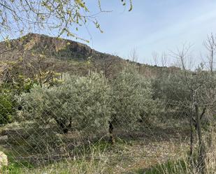Land for sale in Lecrín