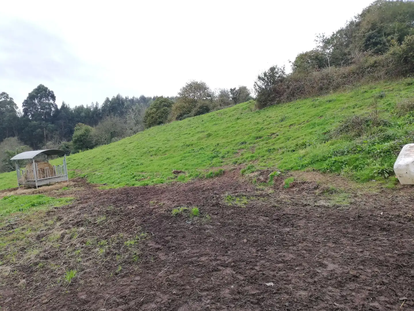 Lands and plots for sale in Villalegre - La Luz