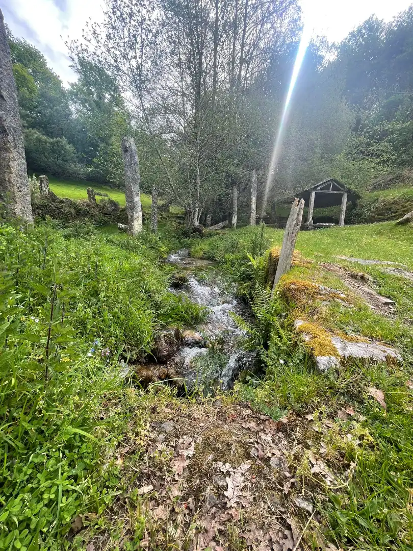 Finca rústica en venta en O Irixo con Jardín privado y Balcón