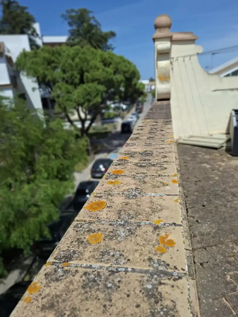 Terrassa de Casa o xalet en venda en Chiclana de la Frontera
