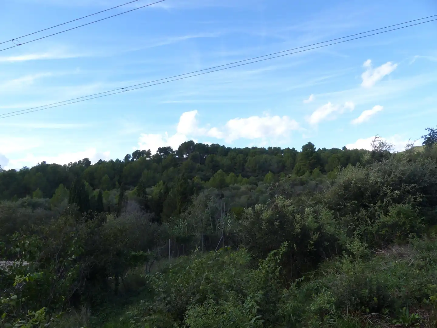 Finca rústica en venda en Les Borges del Camp amb Jardí privat, Traster i Piscina