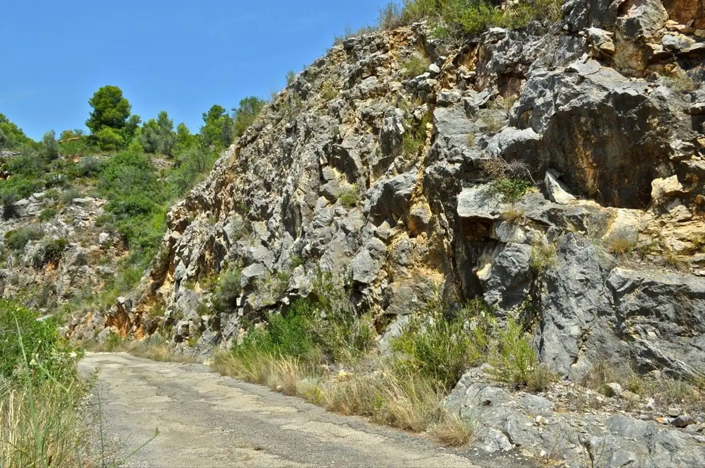 Land for sale in Camí del Barranc de la Llet, 26, Sant Llàtzer