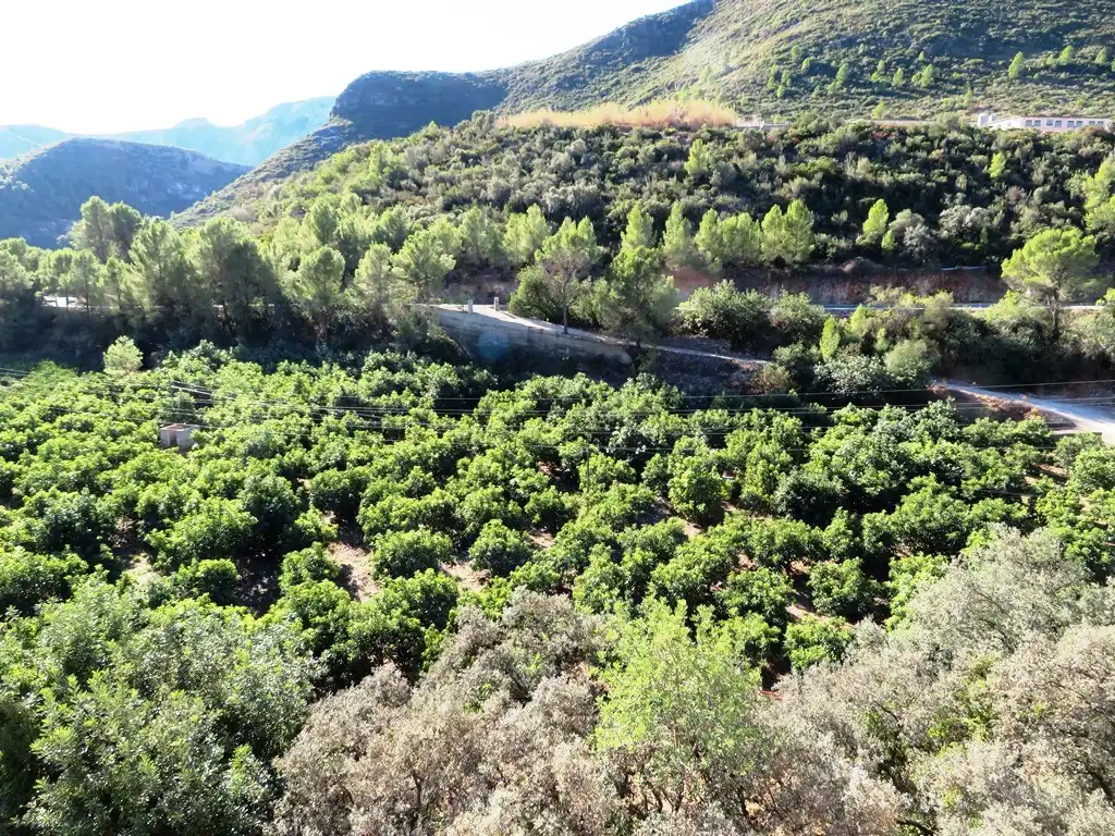 Casa o xalet en venda en L'Atzúbia amb Jardí privat, Terrassa i Traster